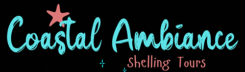 Coastal Ambiance Shelling Tours